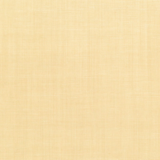 Rubelli Borneo Wall wallcovering - Polvere