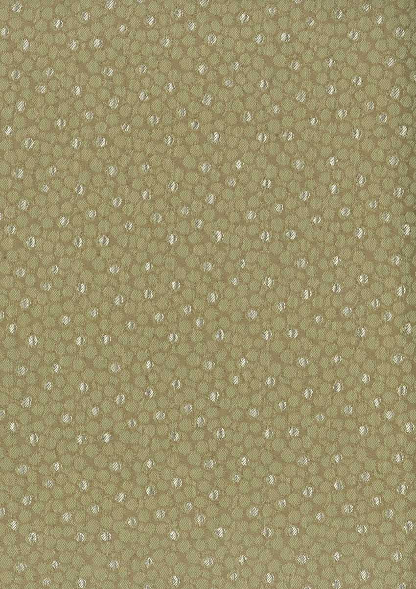 Nina Campbell | Kirkham fabric - NCF4081-05
