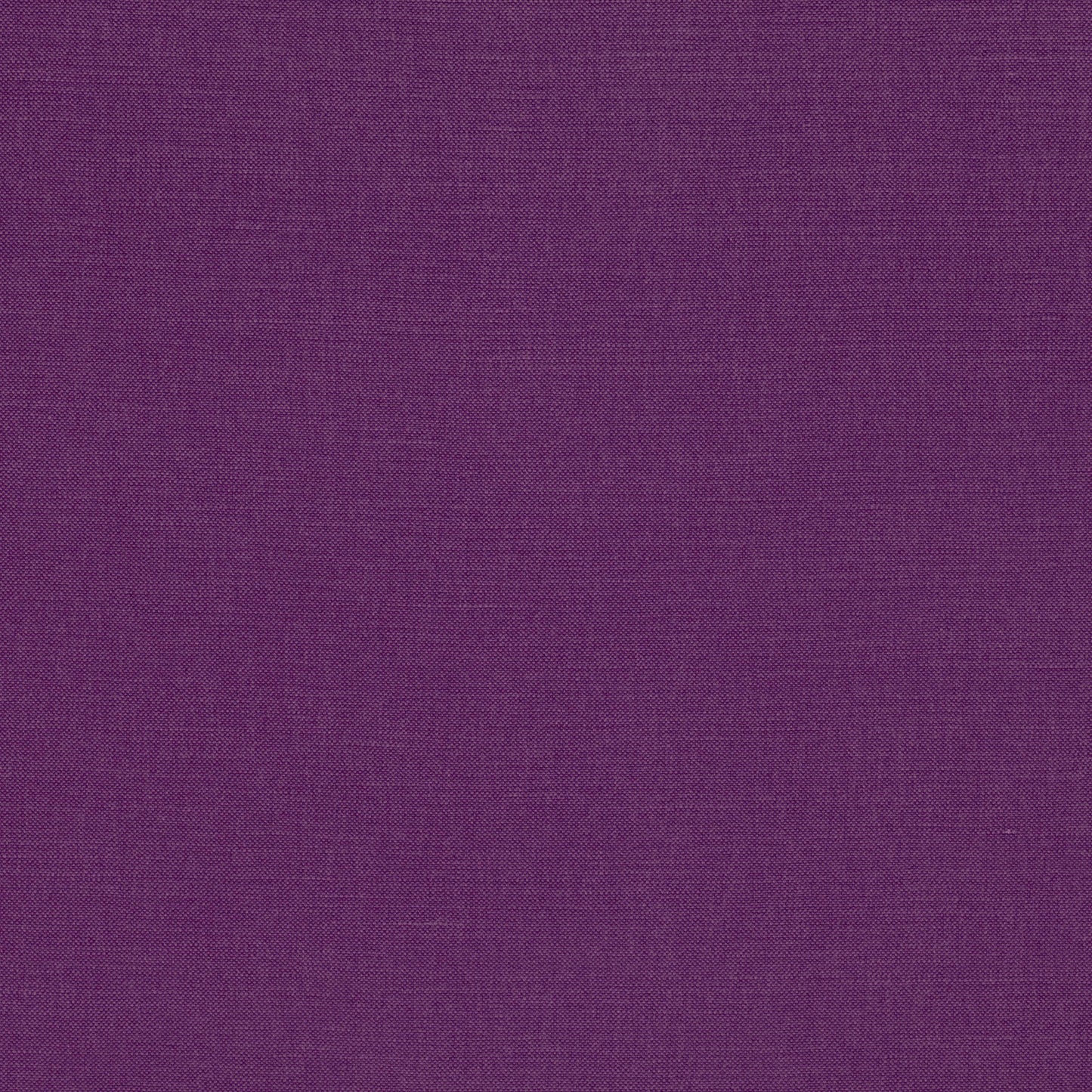Romo | Linara – Crocus