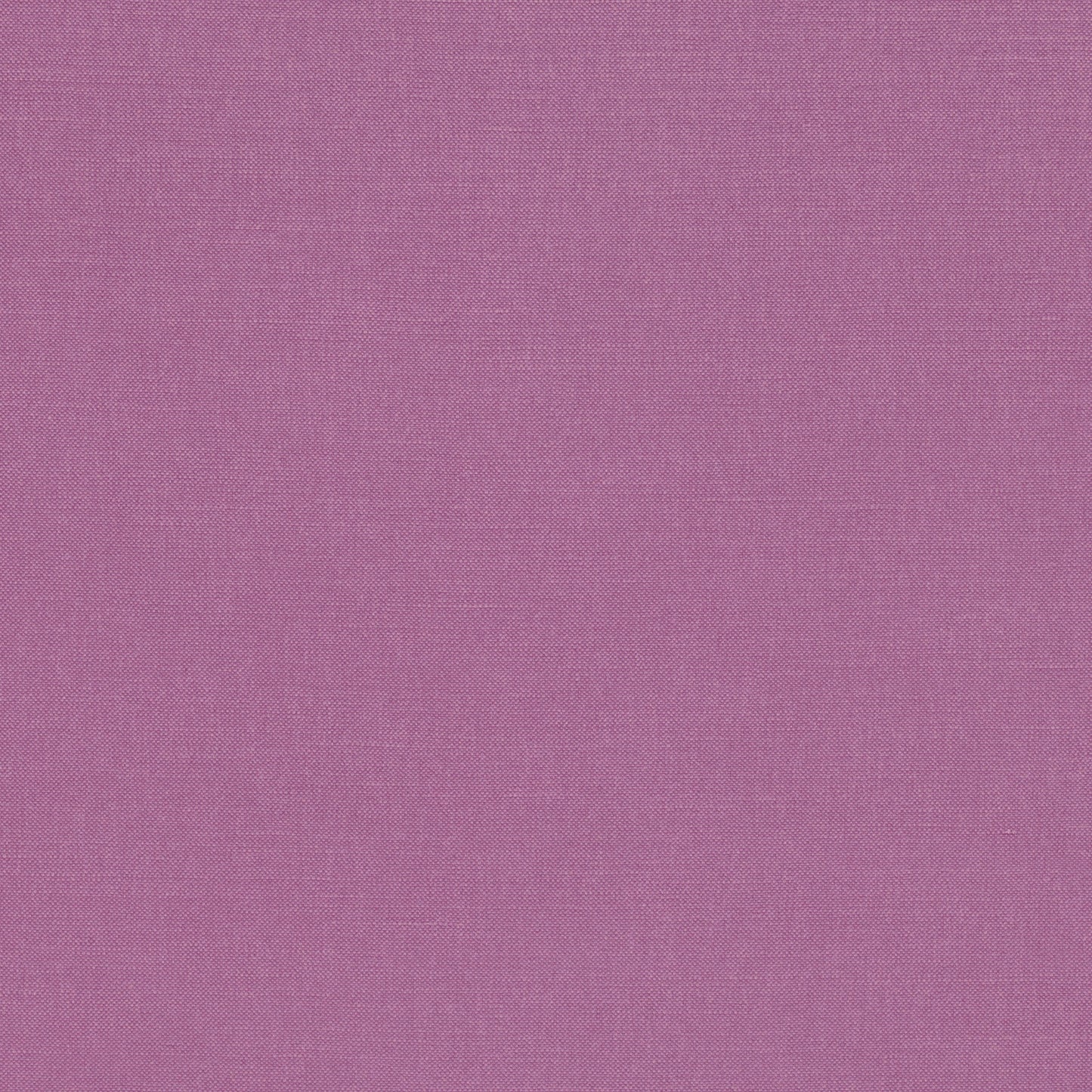 Romo | Linara – Violet