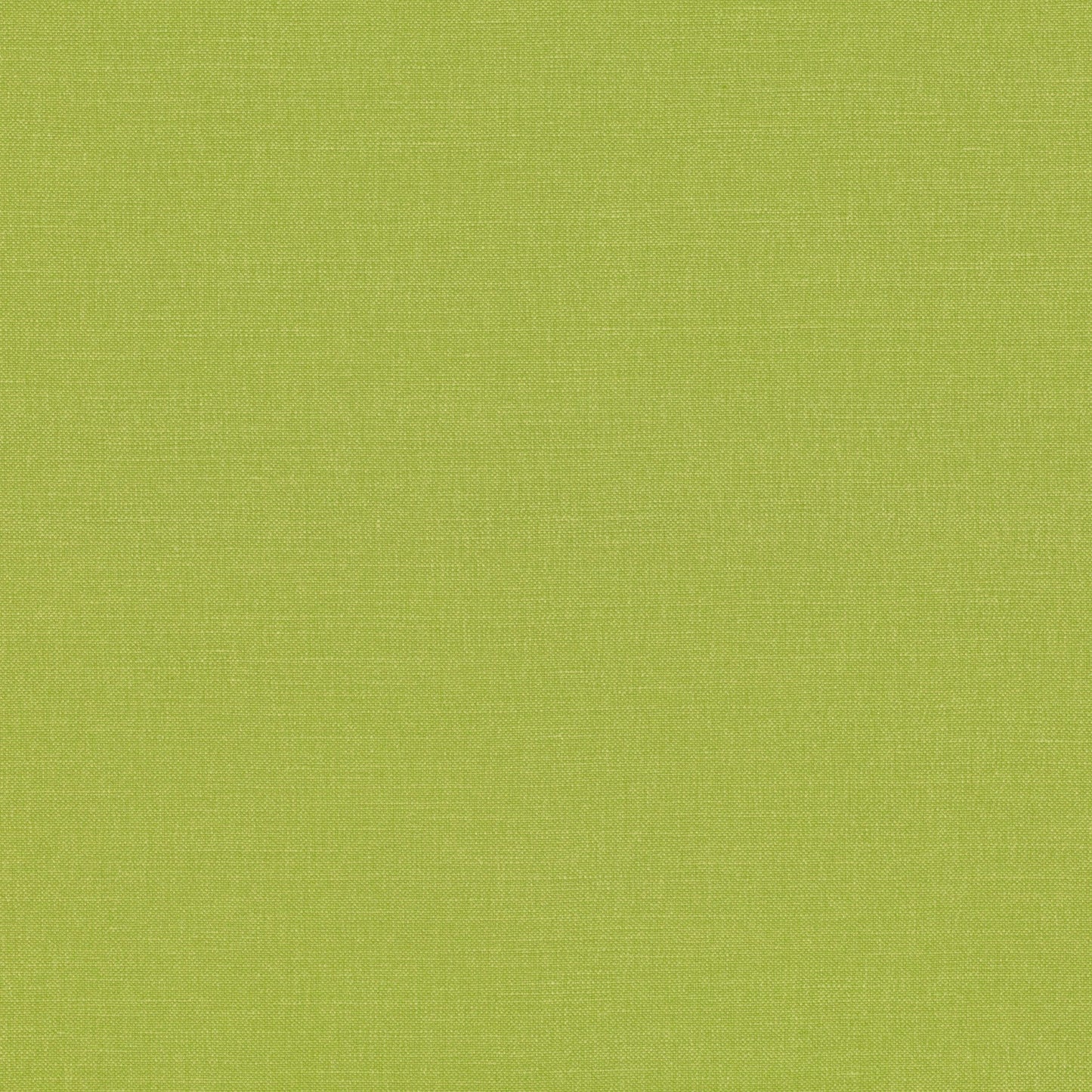 Romo | Linara – Basil