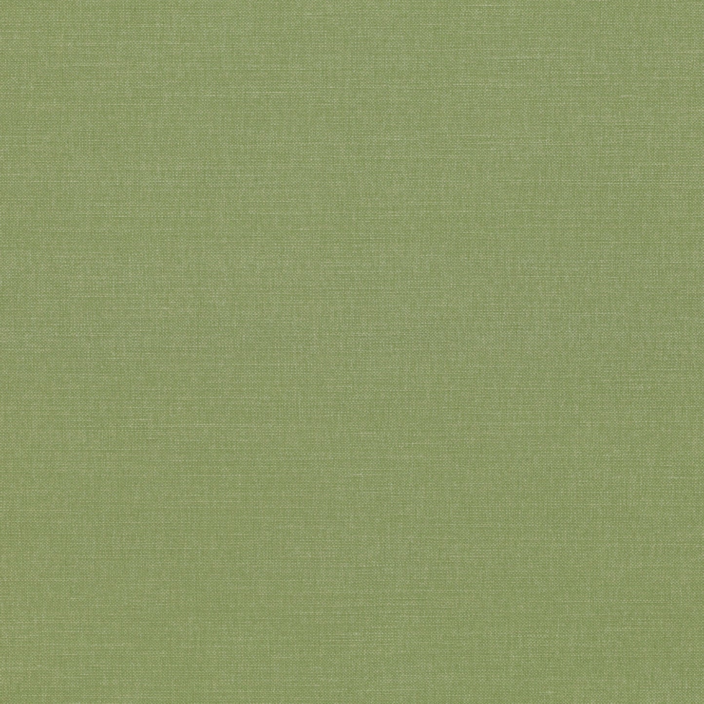 Romo | Linara – Kiwi