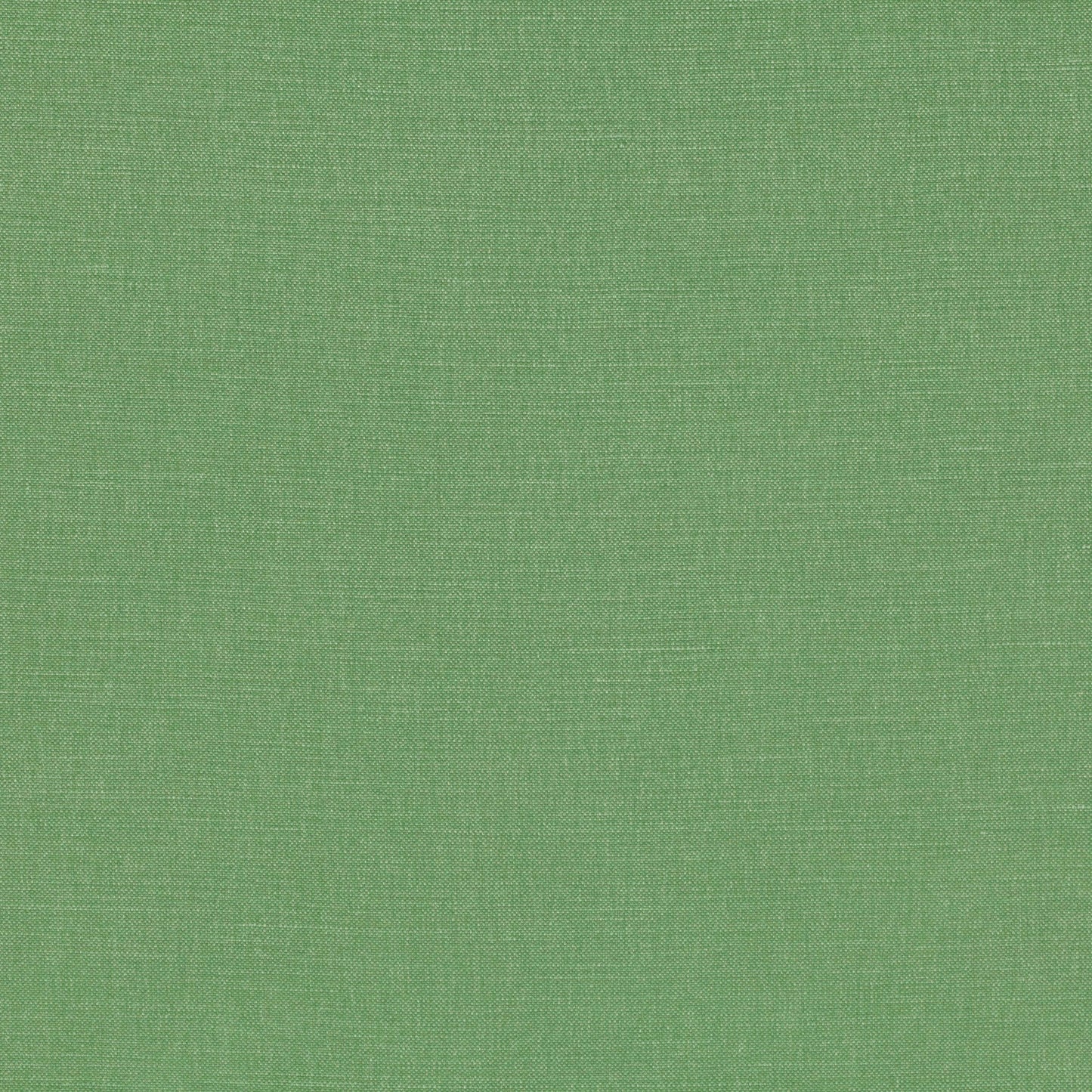 Romo | Linara – Thyme