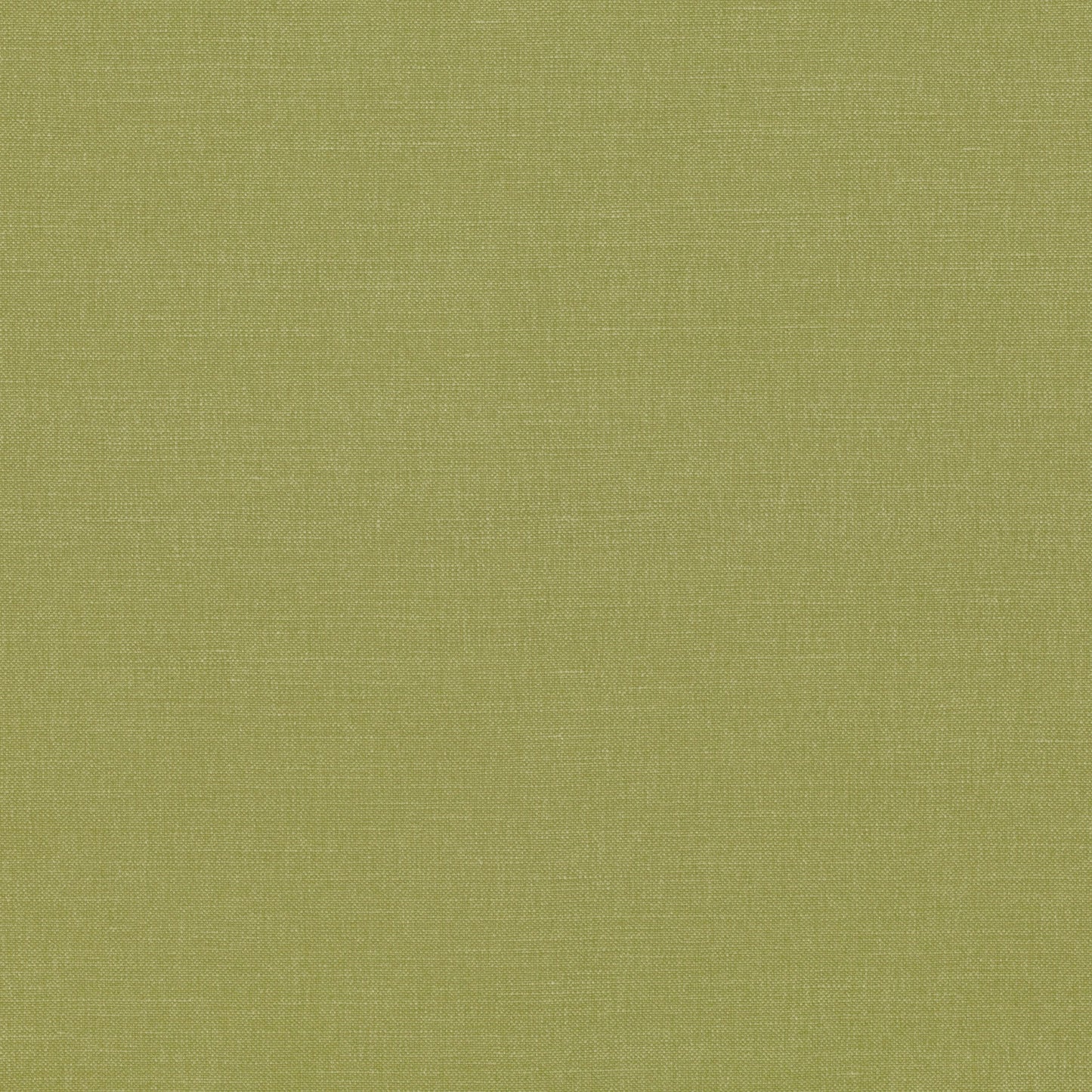 Romo | Linara – Elm
