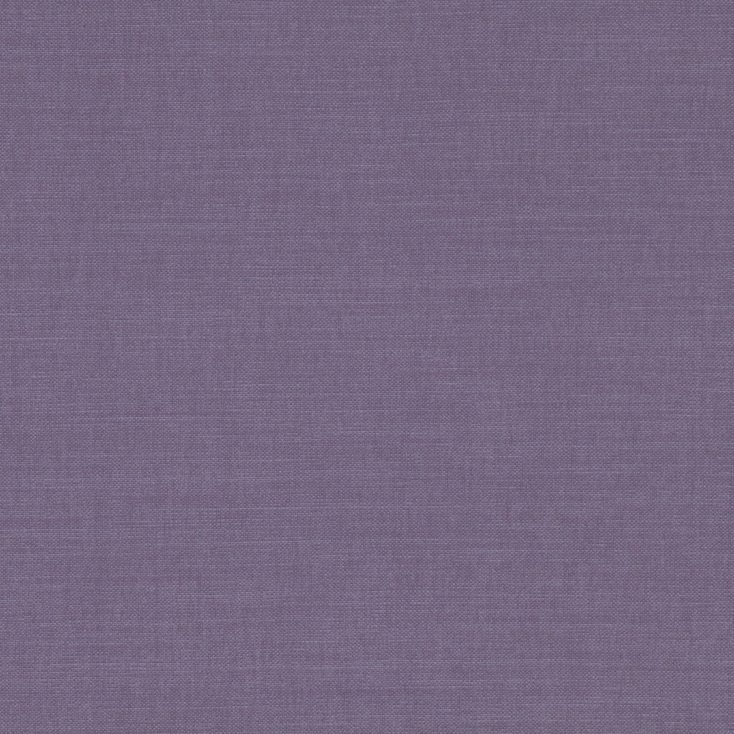 Romo | Linara – Aconite