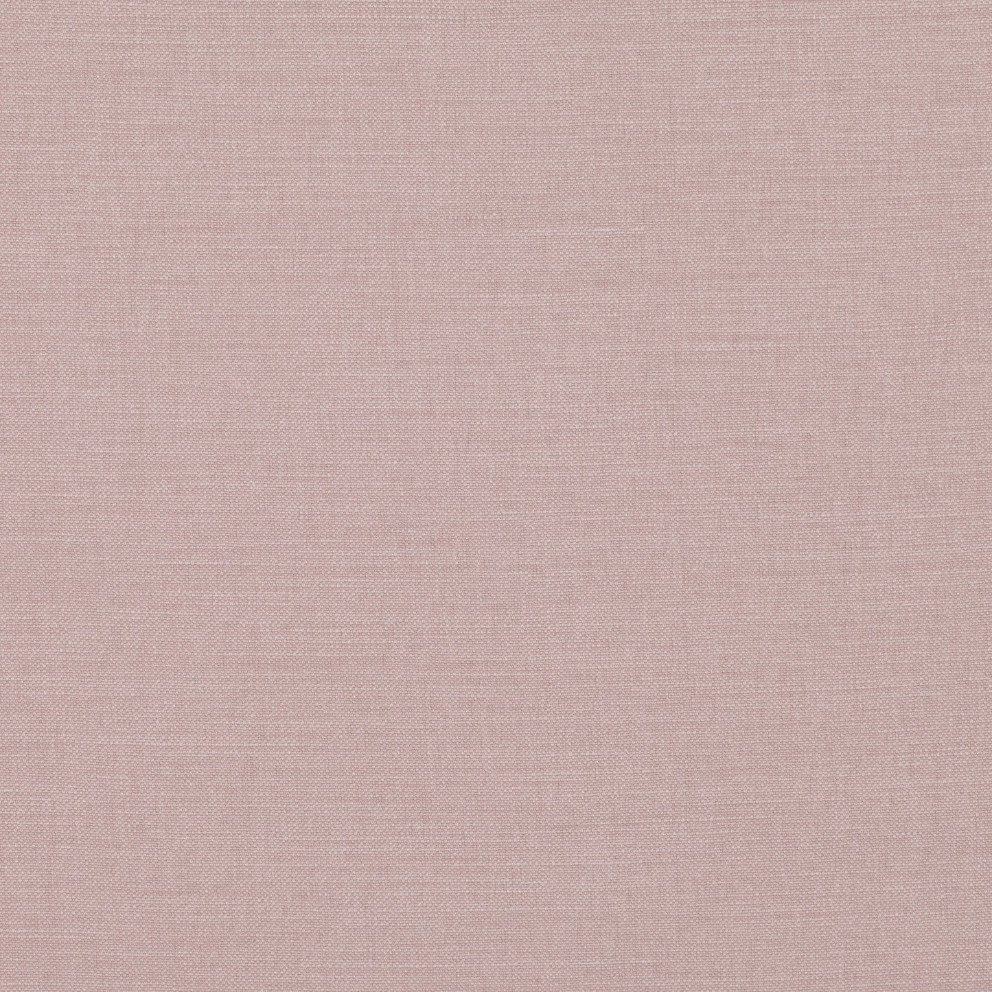 Romo | Linara – Abelia