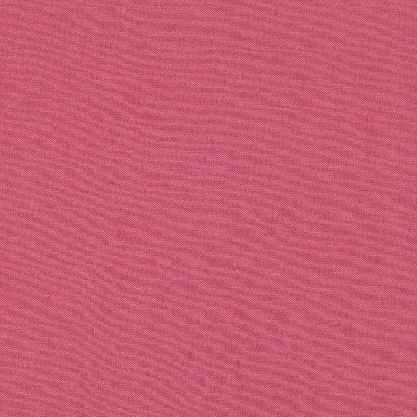 Romo | Linara – Rubus