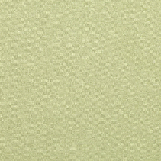 Romo | Linara – Chicory