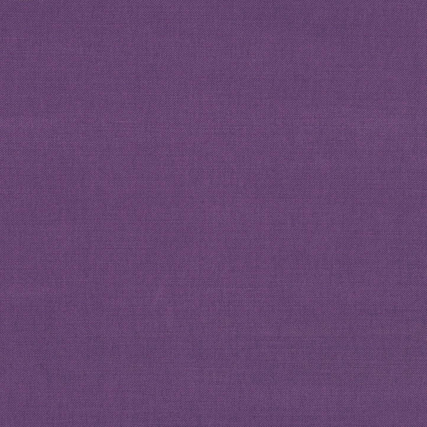 Romo | Linara – Tyrian Purple