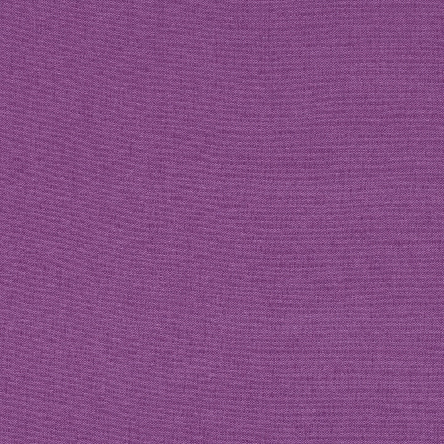 Romo | Linara – Lisianthus