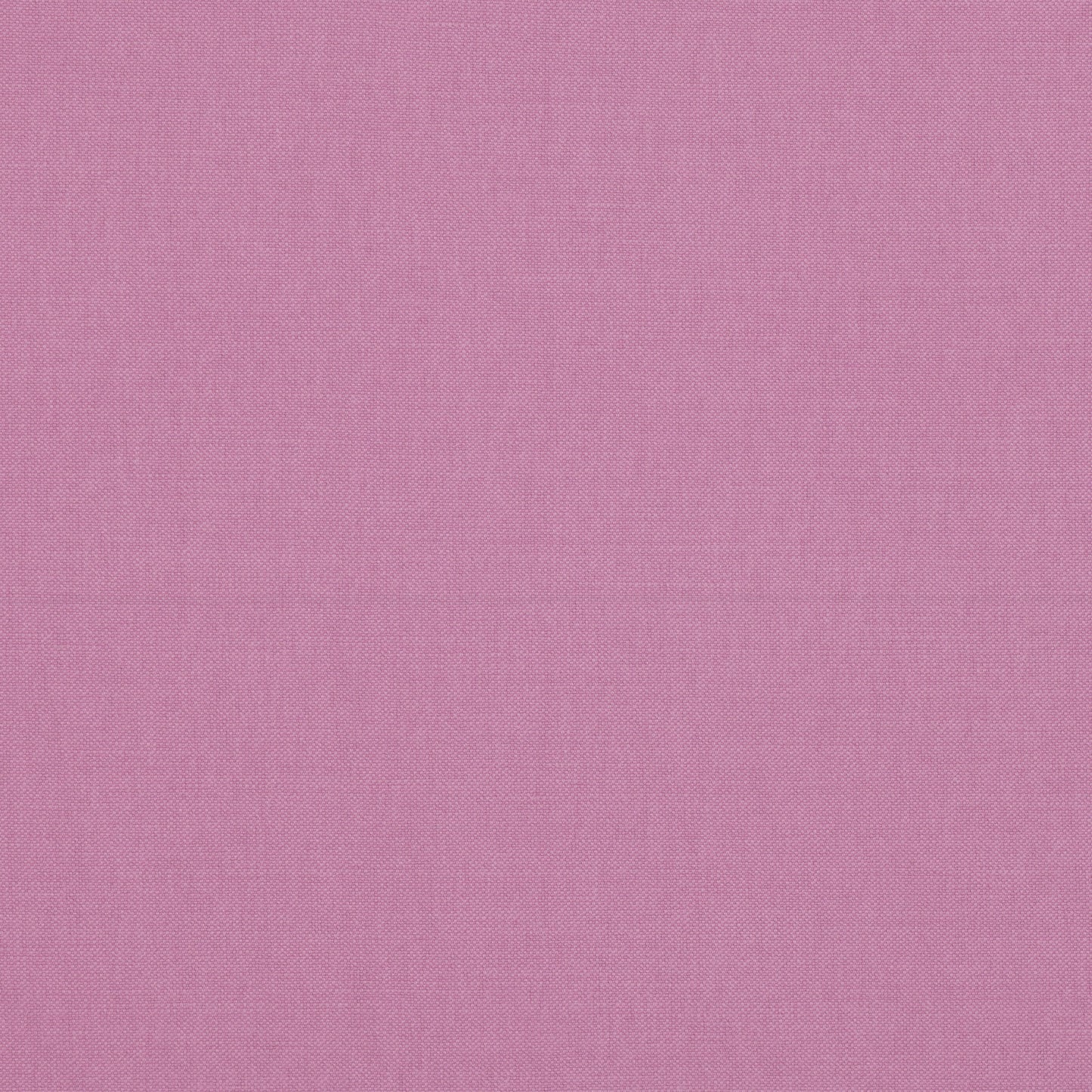 Romo | Linara – Foxglove