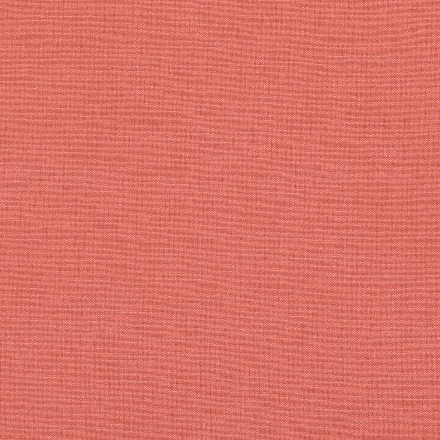 Romo | Linara – Tiger Lily