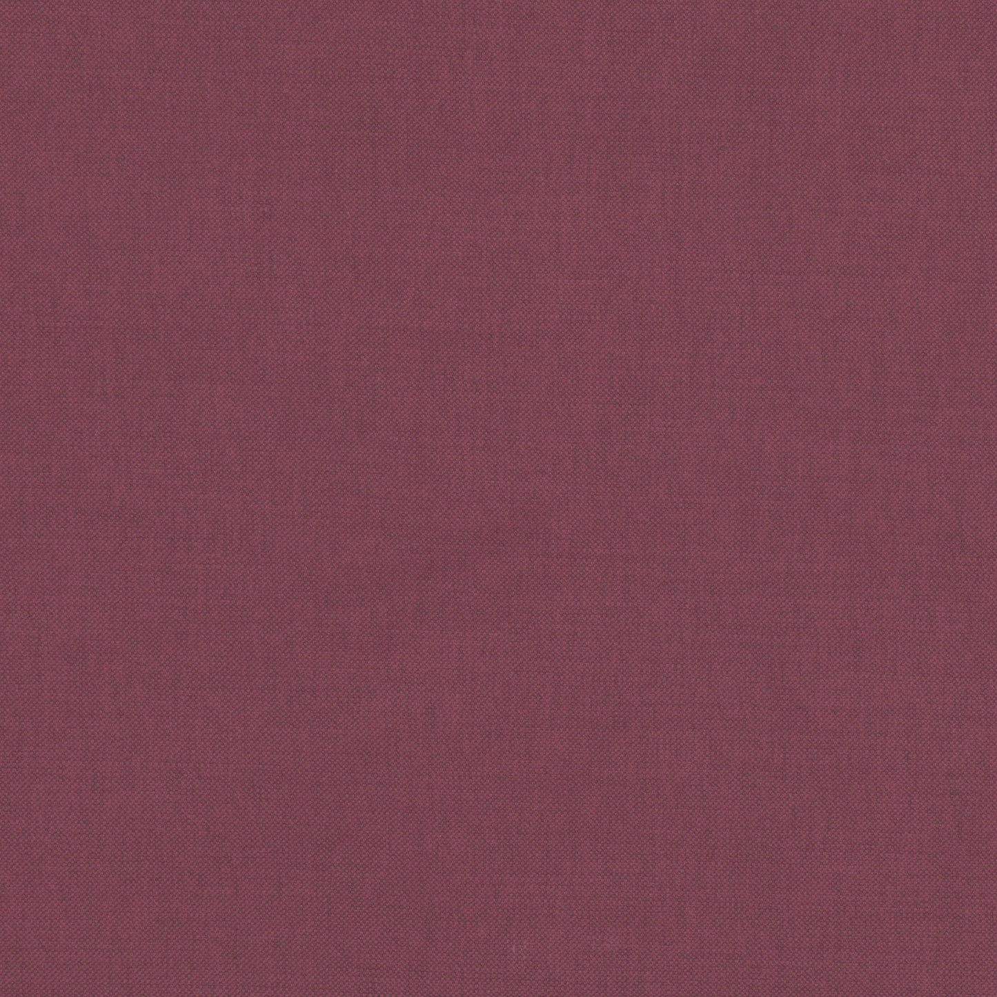 Romo | Linara – Radicchio