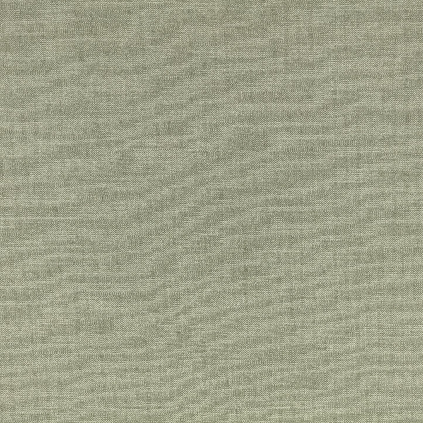 Romo | Linara – Lichen
