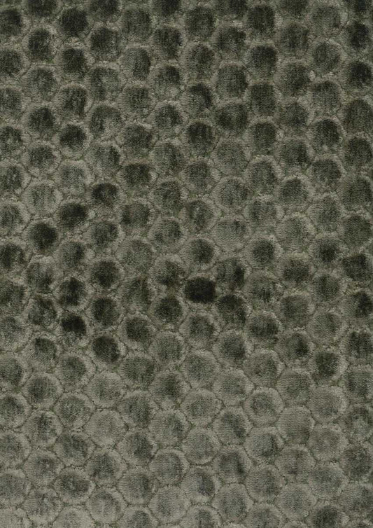 Osborne & Little | Alveare fabric - F6315-02