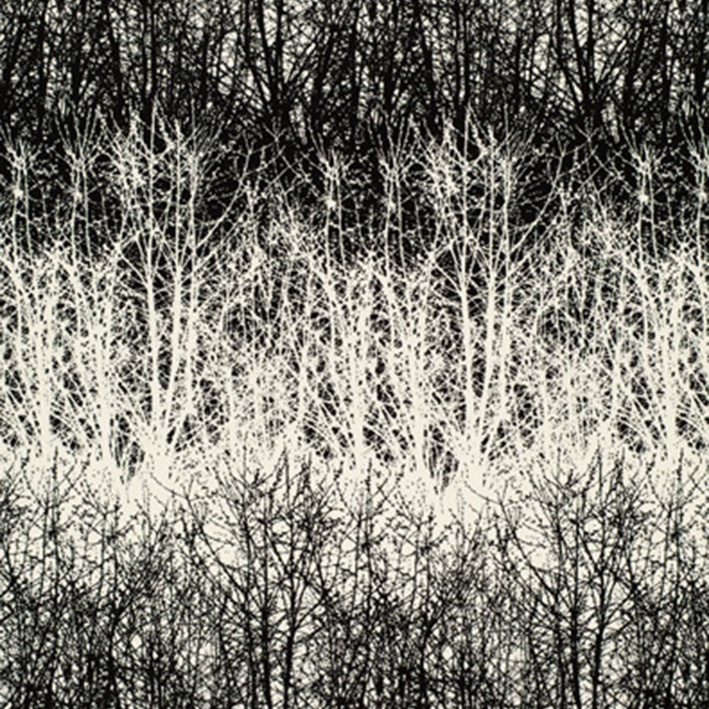 Schumacher | Birches fabric - 2644021
