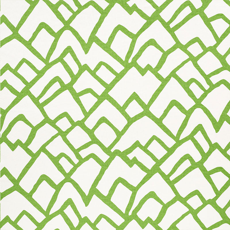 Schumacher | Zimba fabric - 2644335