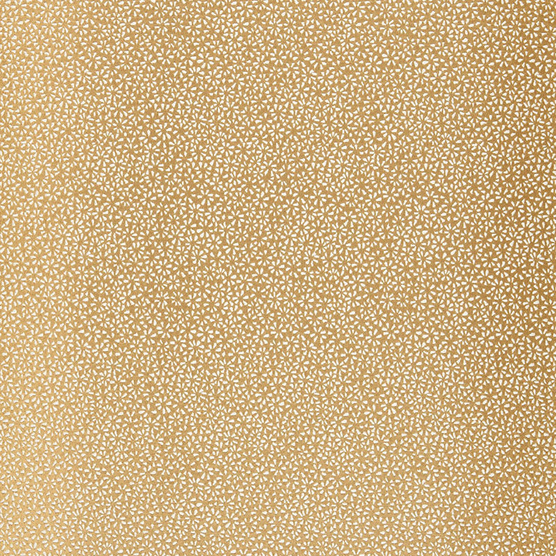 Schumacher | Kyousha Silk fabric - 2644521
