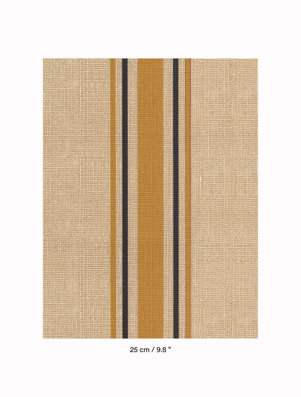 DEDAR | Library Wall