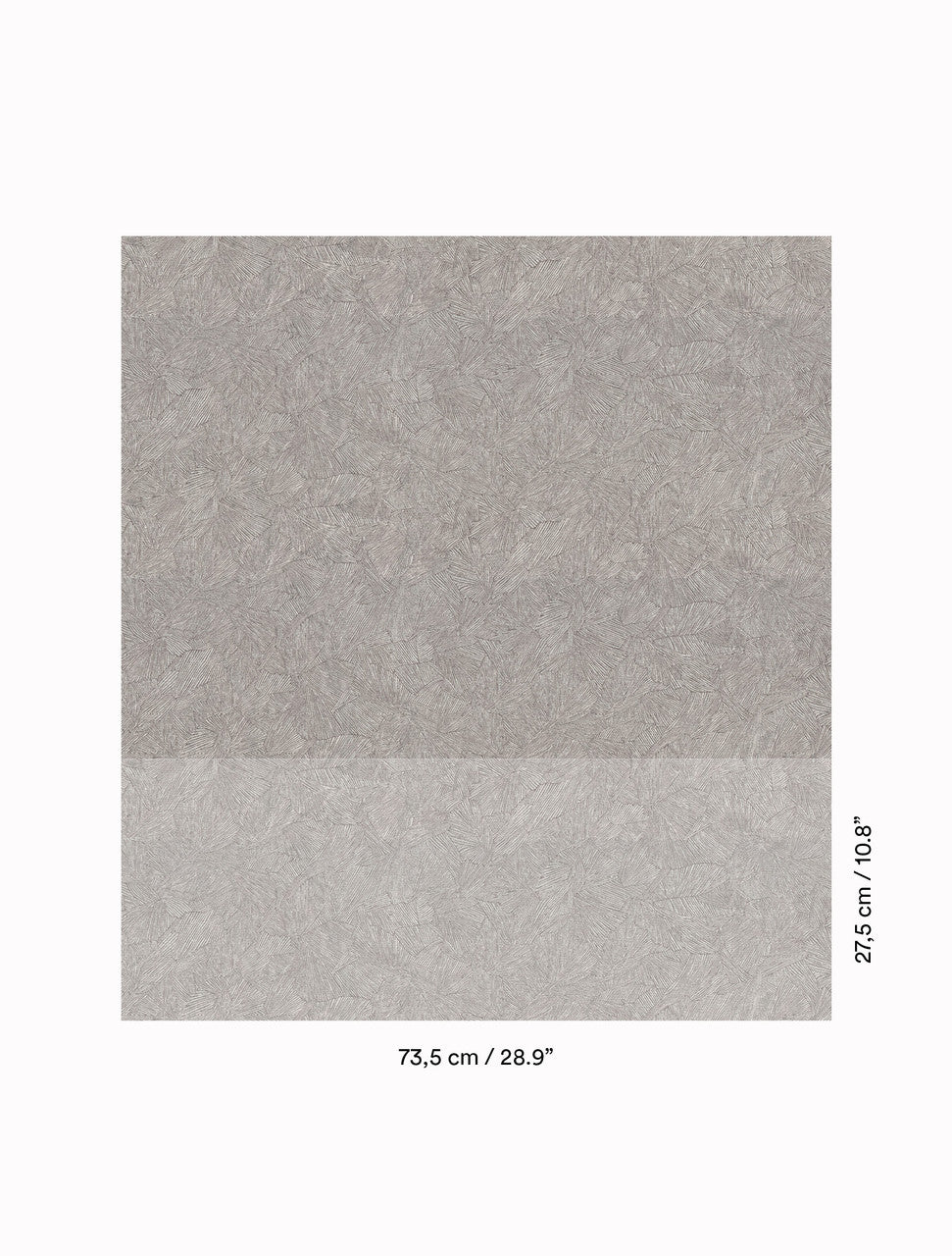 DEDAR | In Folio