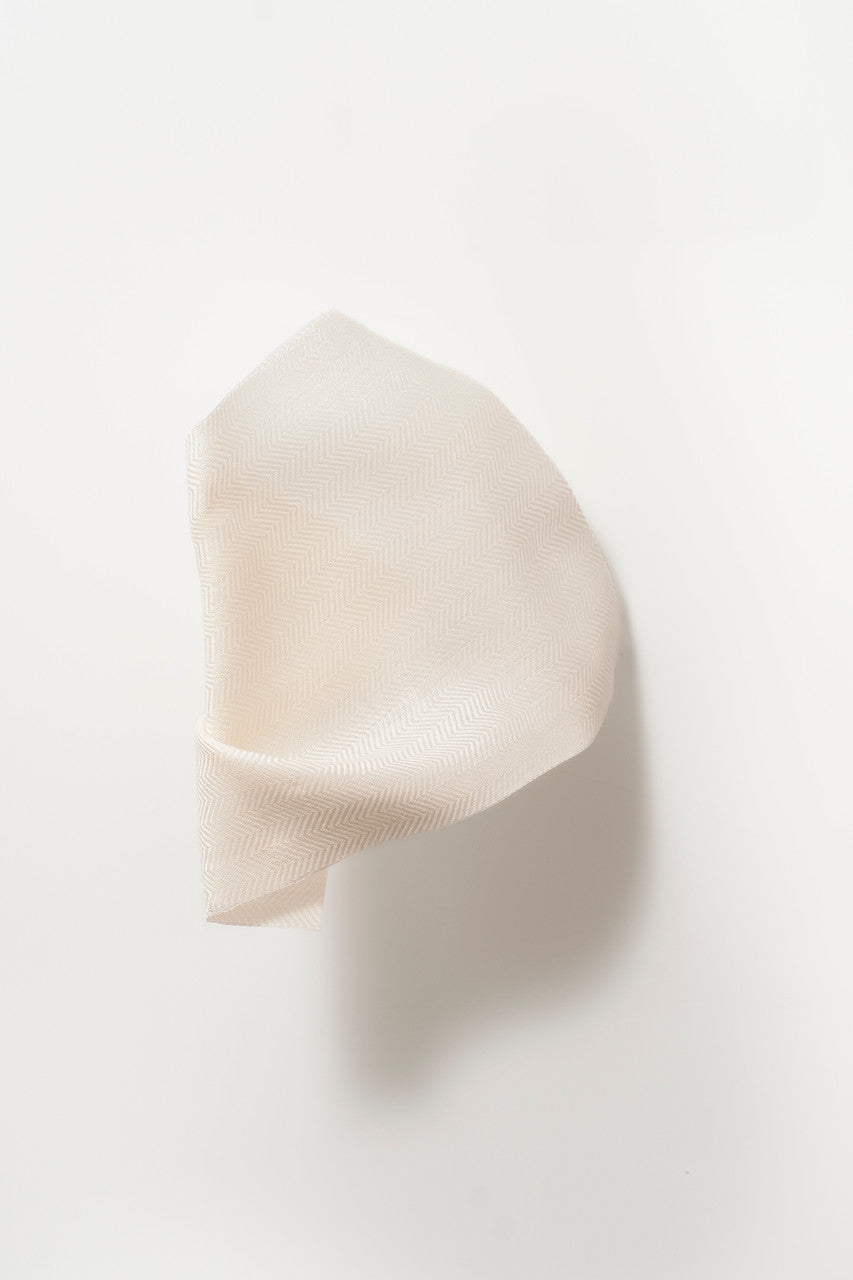 DEDAR | Winckelmann