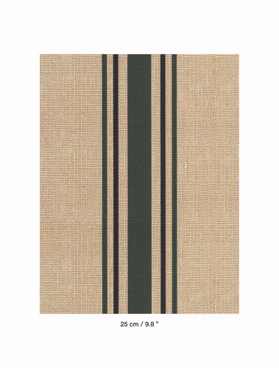 DEDAR | Library Wall