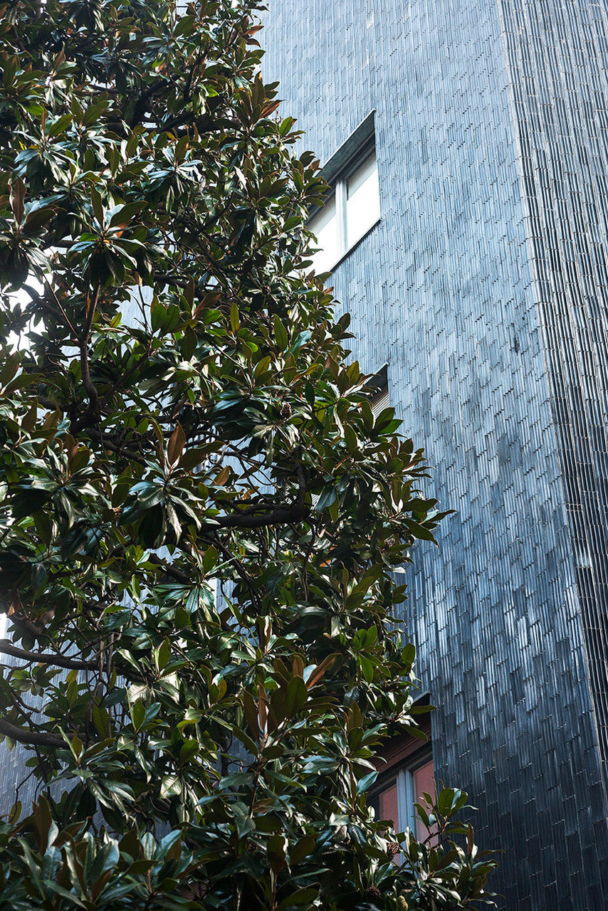 DEDAR | Oxford Horizon
