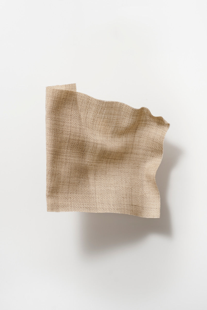 DEDAR | Winckelmann
