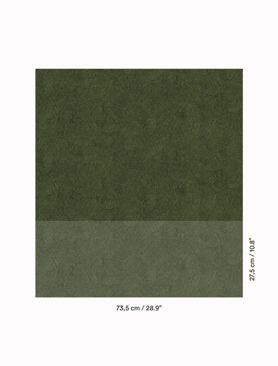 DEDAR | In Folio