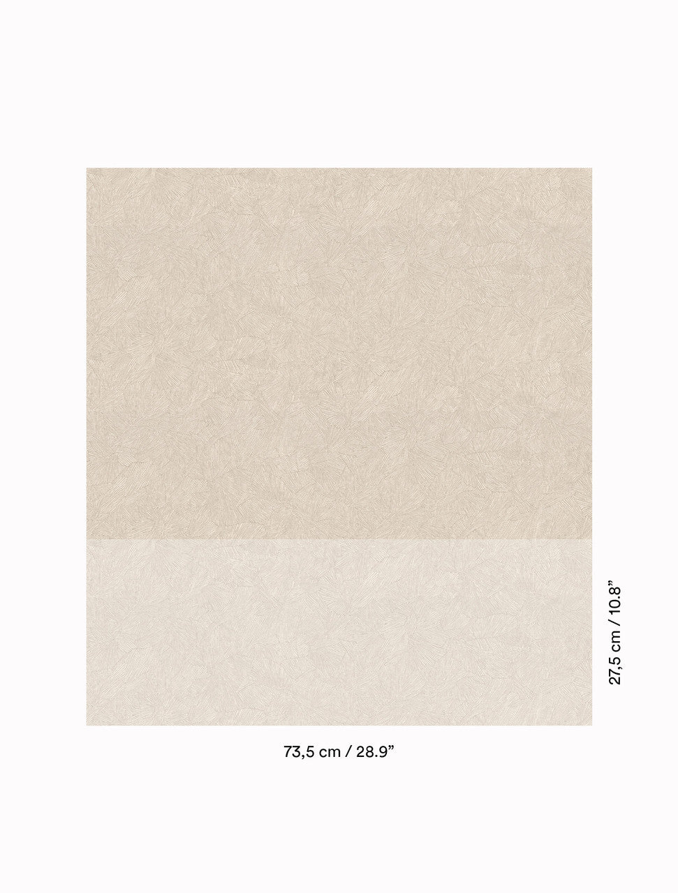 DEDAR | In Folio