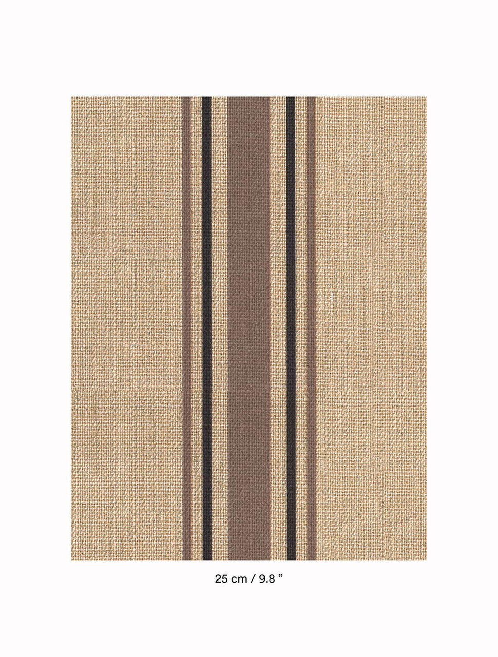 DEDAR | Library Wall