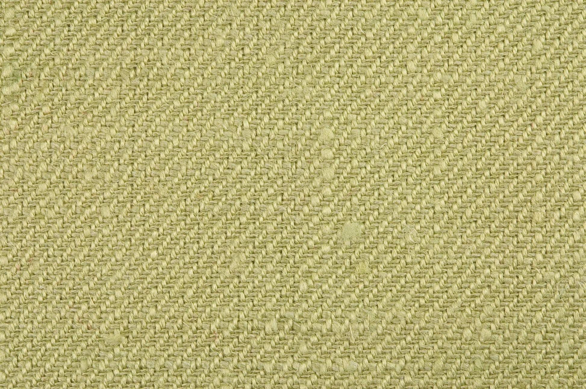 Pierre Frey Croisé Collobrières - Eucalyptus