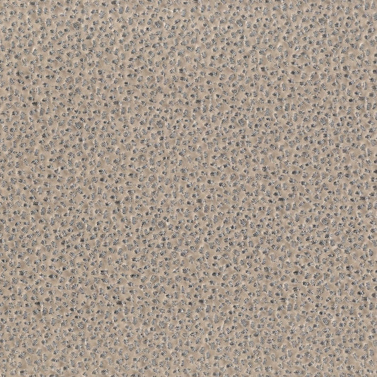 Rubelli Samarcanda fabric - Argento