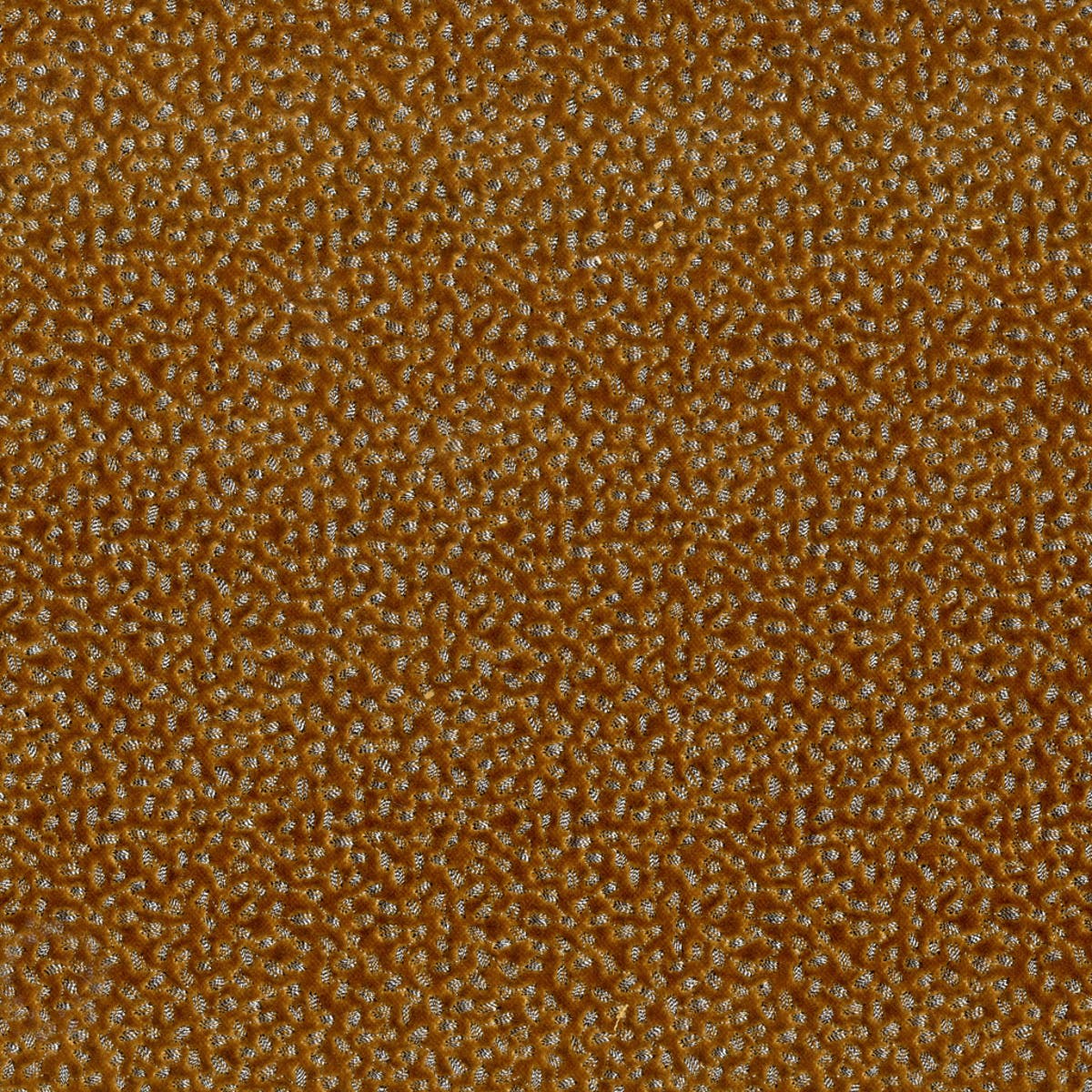 Rubelli Samarcanda fabric - Oro
