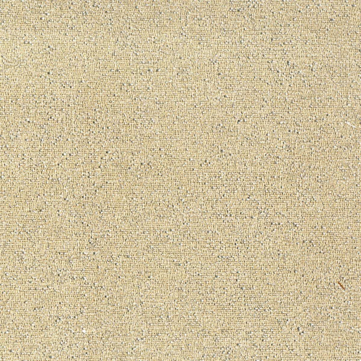 Rubelli Zirma fabric - Corda