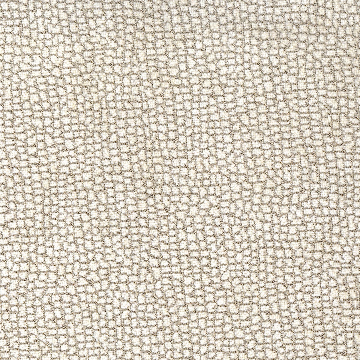 Rubelli Sun Bear fabric - Opale