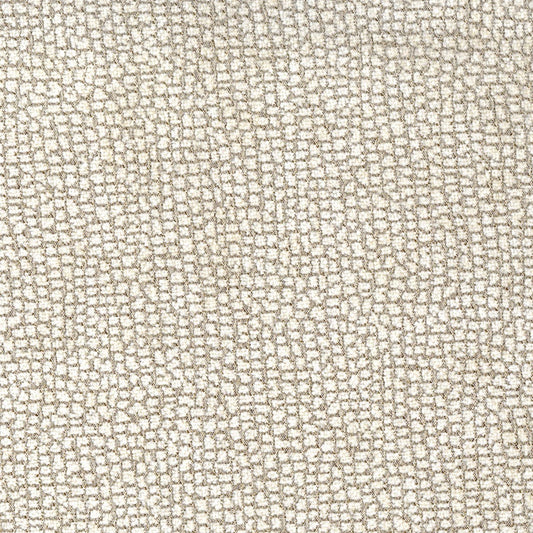 Rubelli Sun Bear fabric - Opale