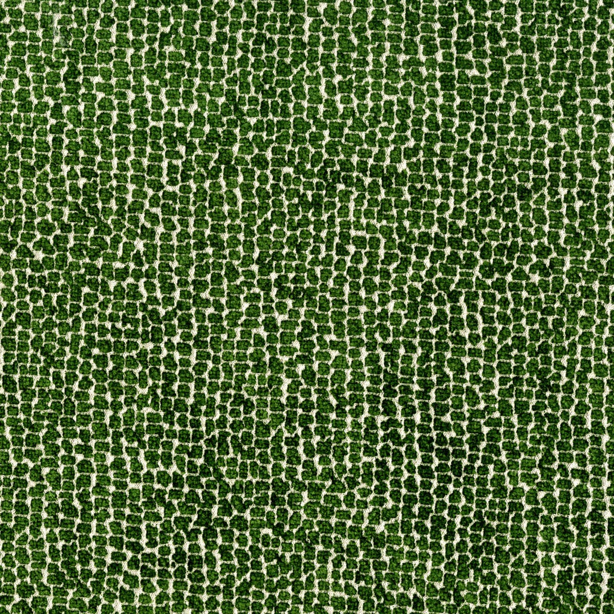 Rubelli Sun Bear fabric - Prato