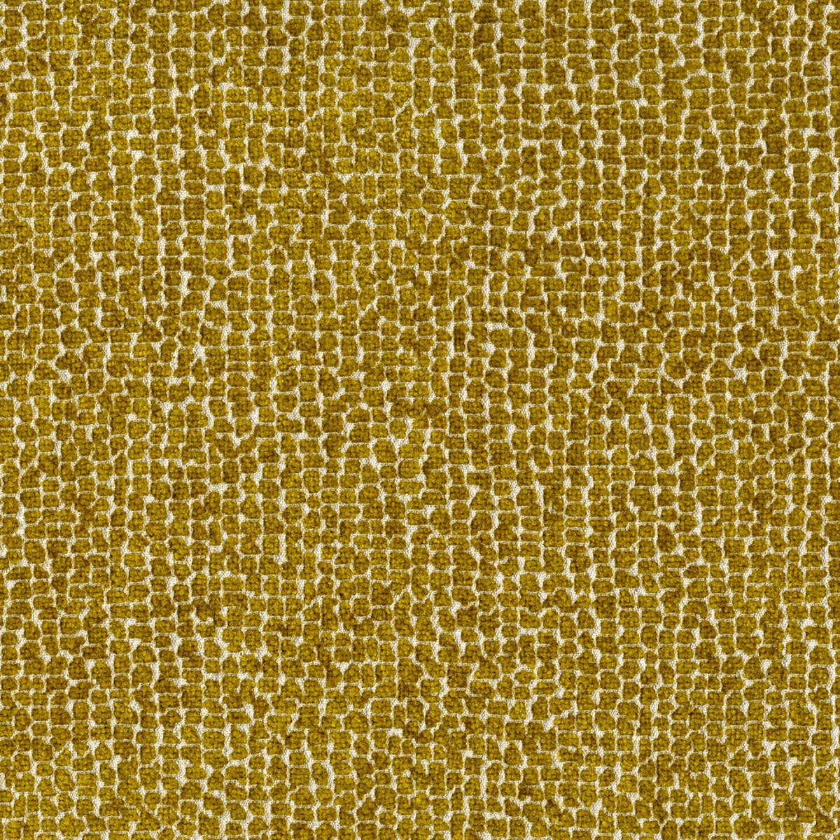 Rubelli Sun Bear fabric - Oro