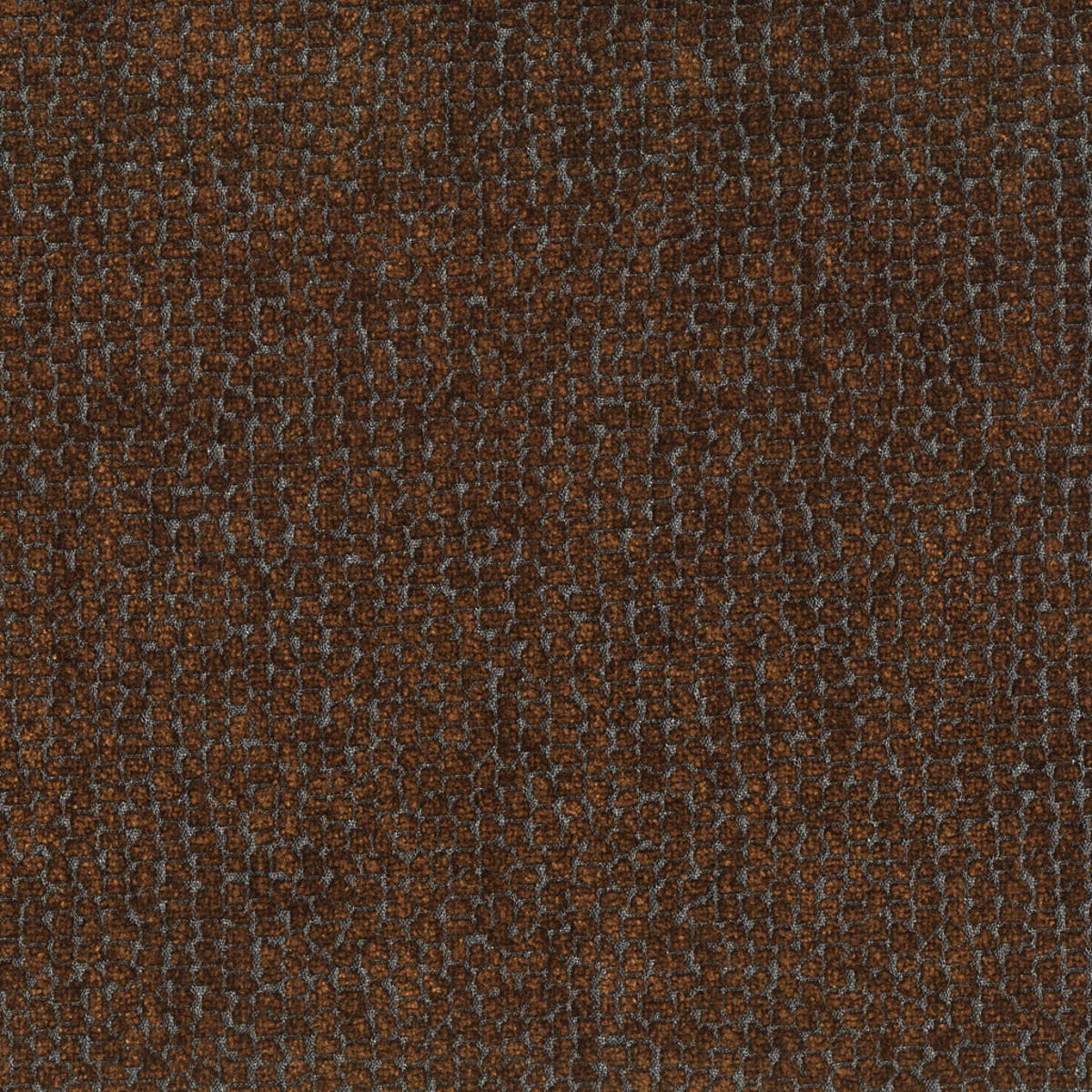 Rubelli Sun Bear fabric - Marrone