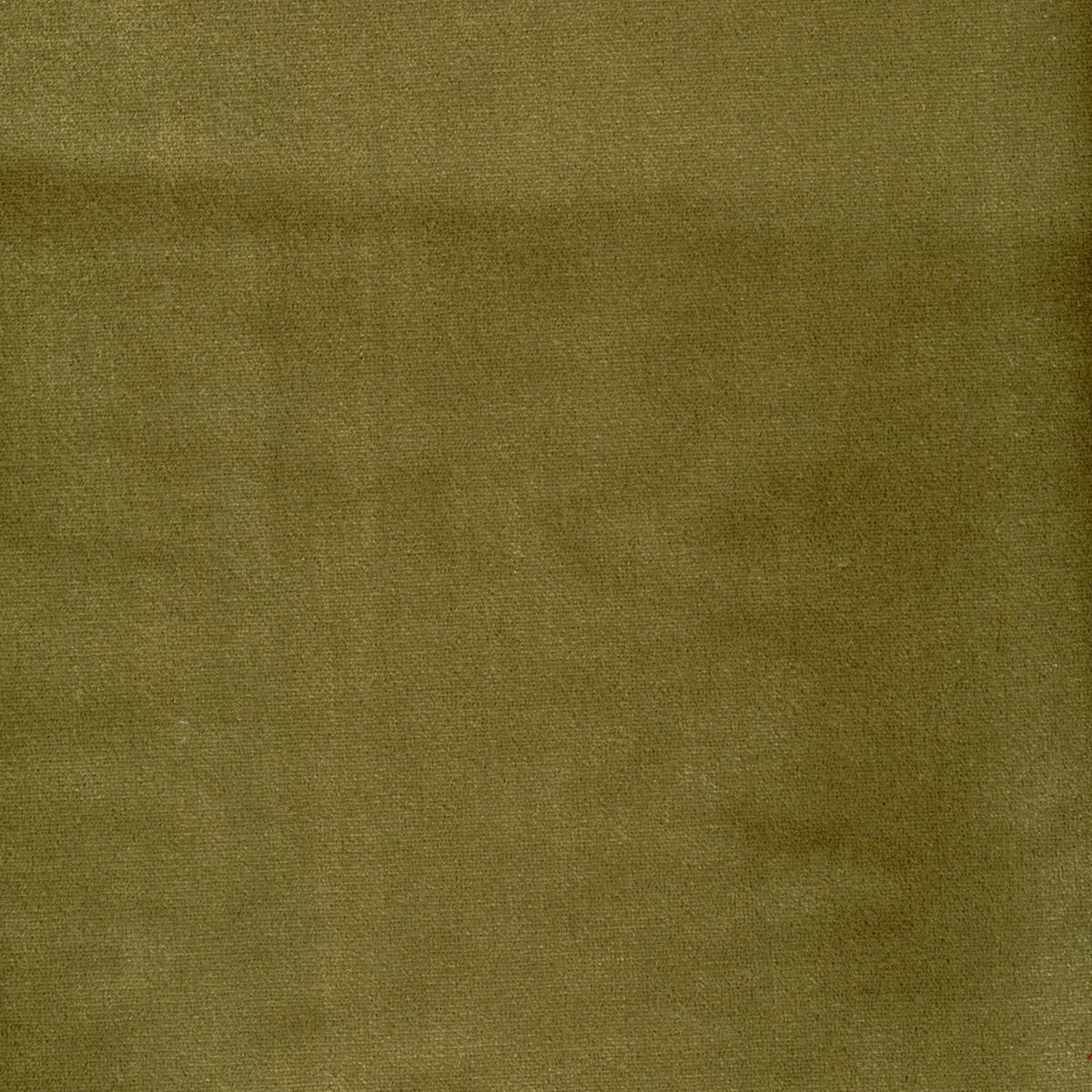 Rubelli Venezia fabric - Tiglio