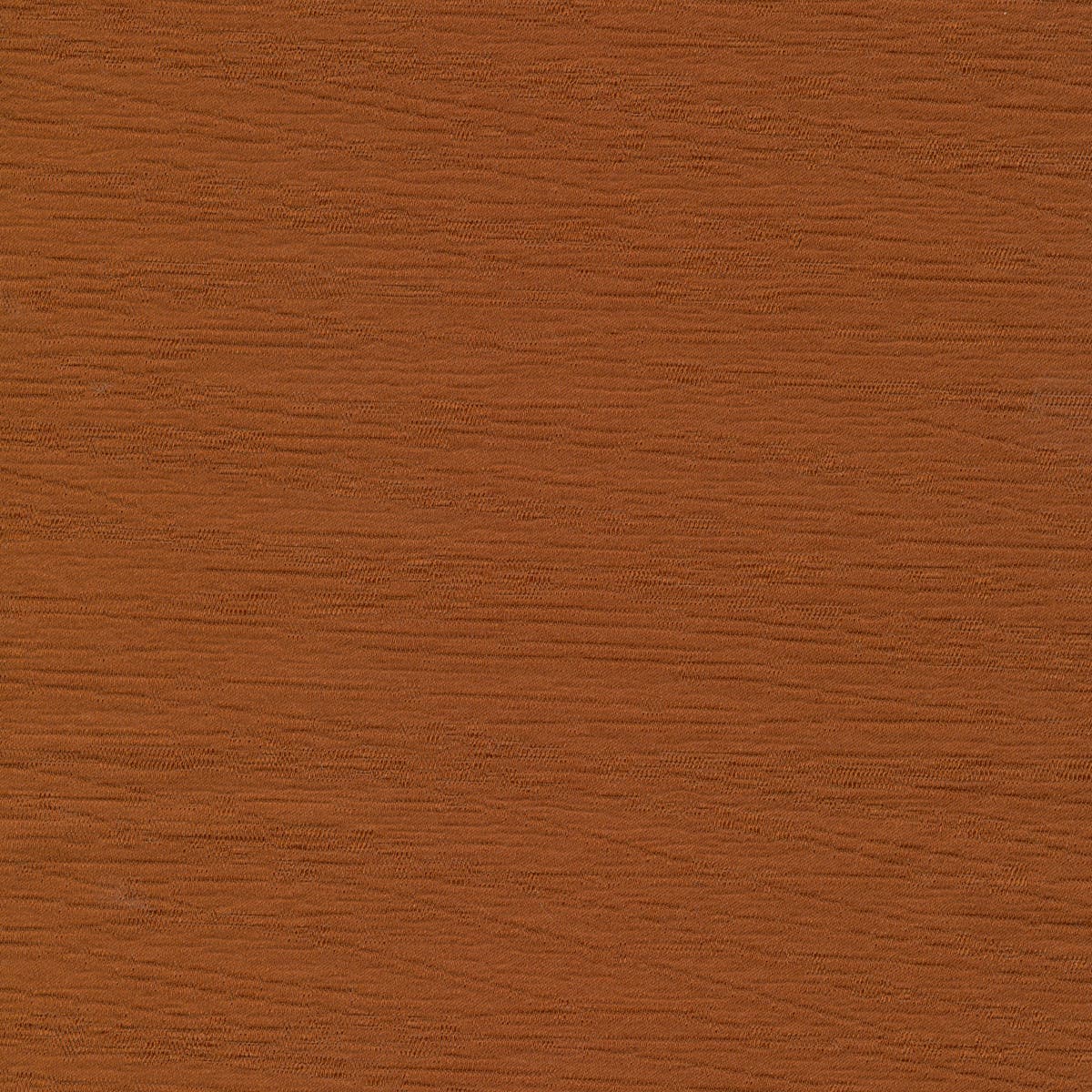 Rubelli Song fabric - Cotto