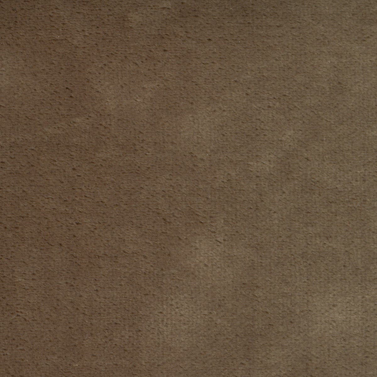 Rubelli Martora fabric - Legno di rosa