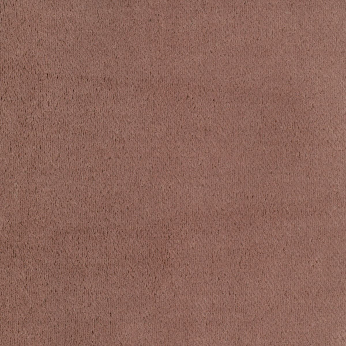Rubelli Martora fabric - Pesco
