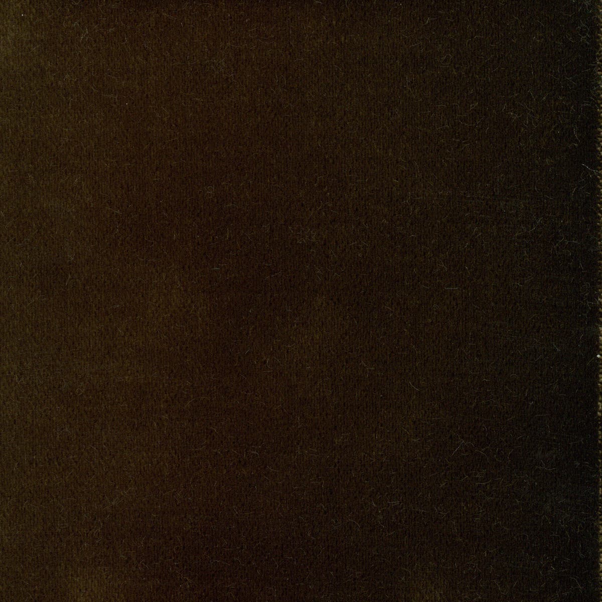 Rubelli Martora fabric - Cioccolato