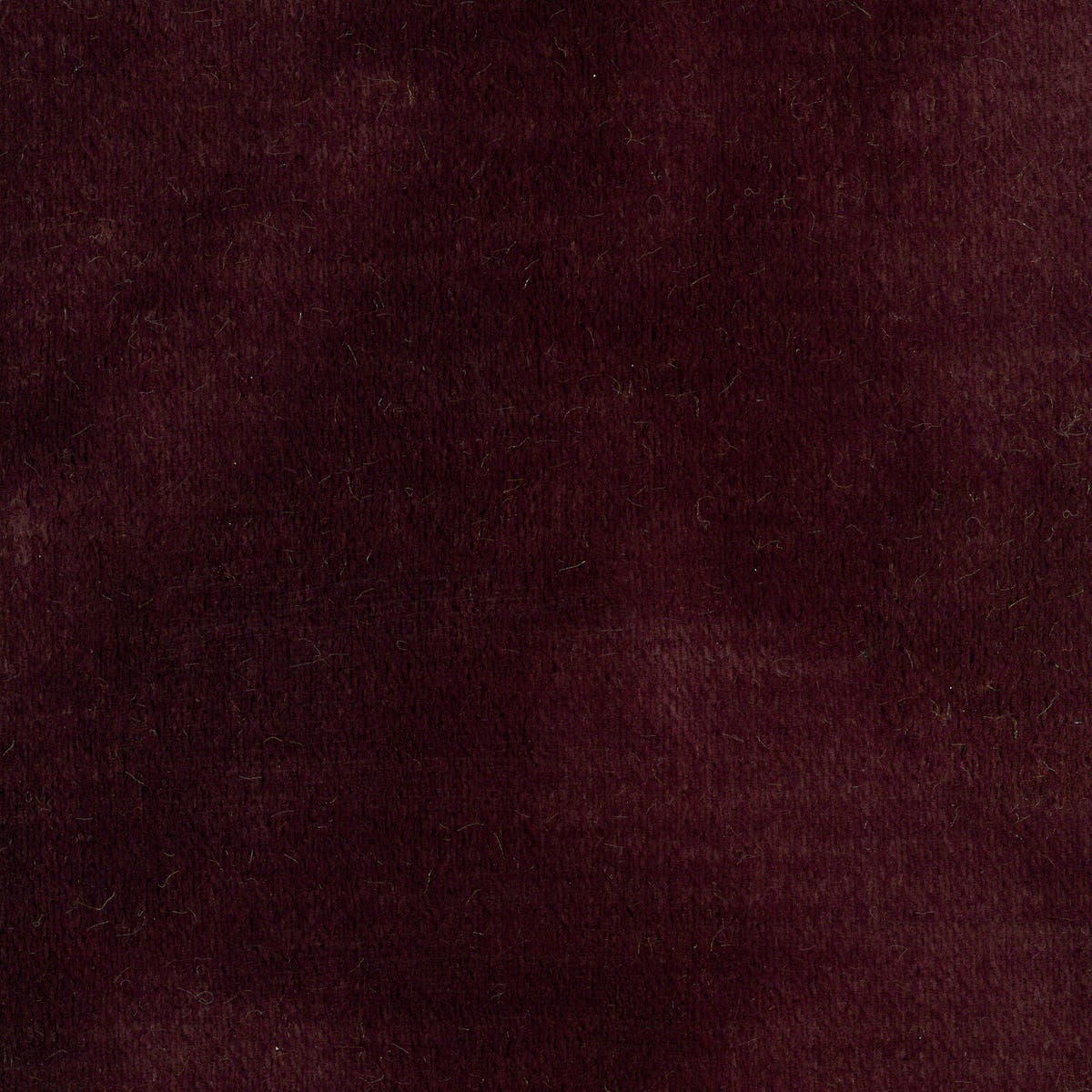 Rubelli Martora fabric - Tibet