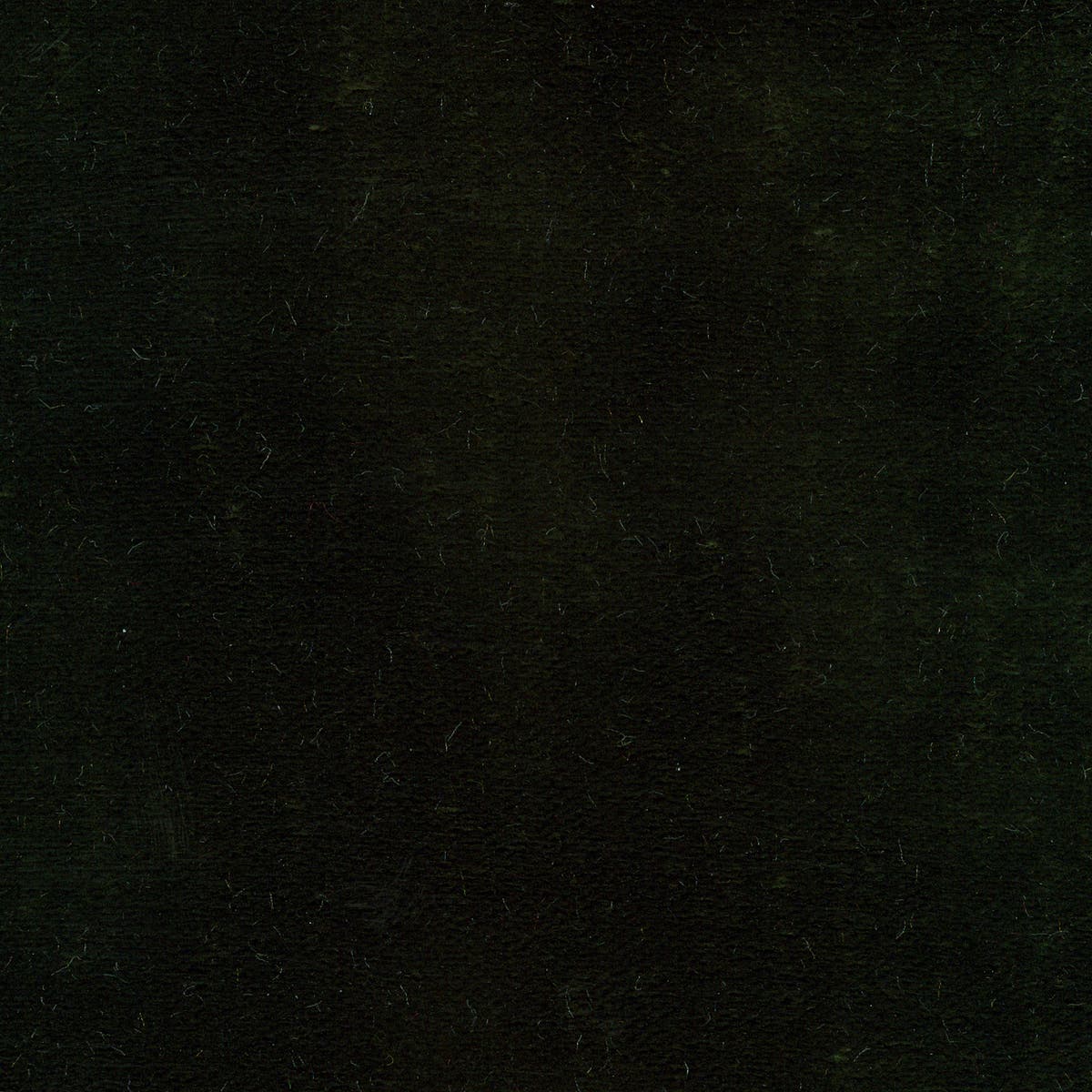Rubelli Martora fabric - Reseda
