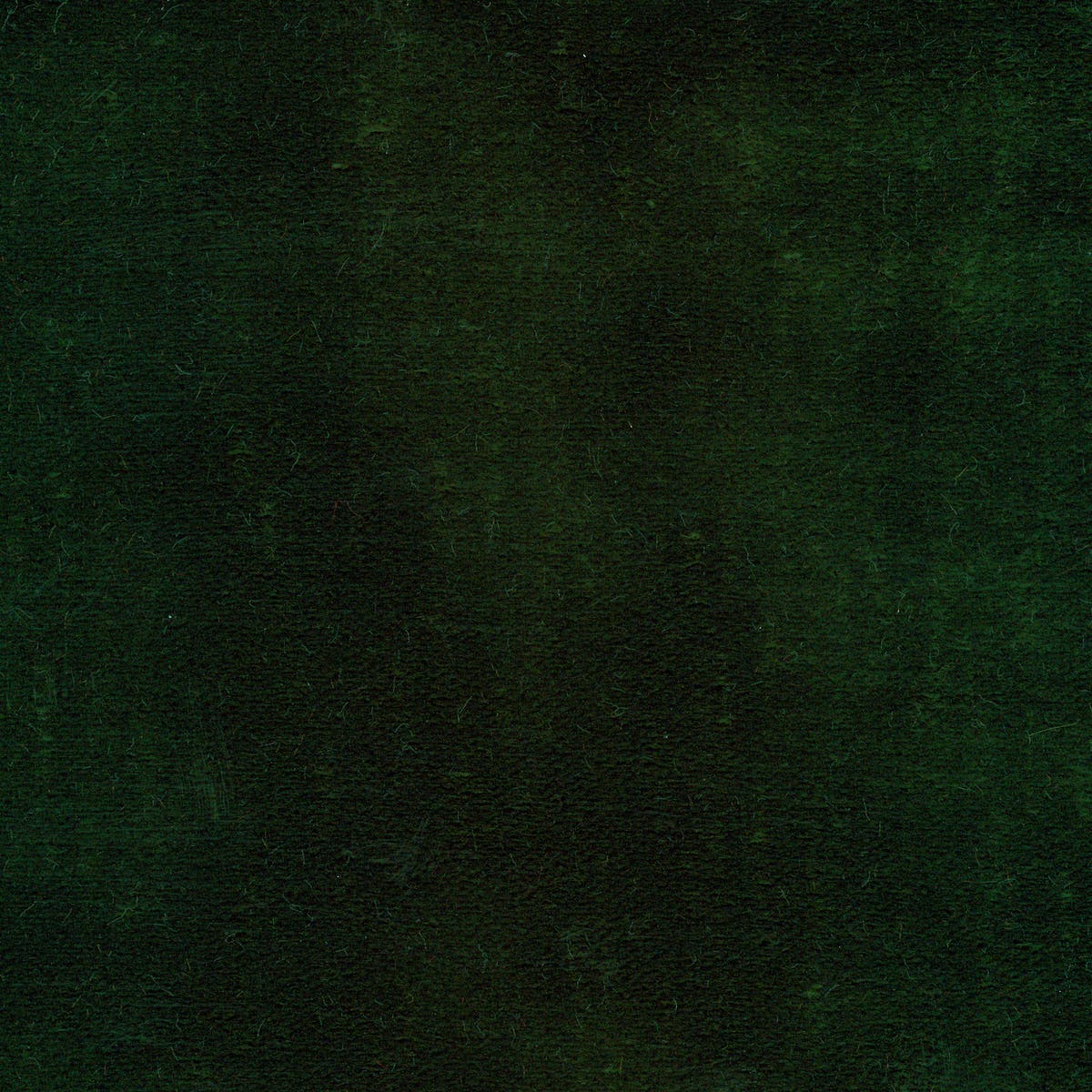 Rubelli Martora fabric - Smeraldo