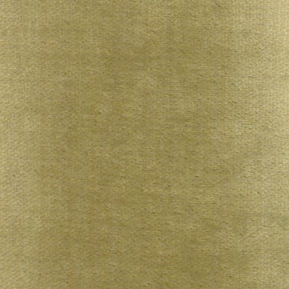 Rubelli Martora fabric - Tiglio