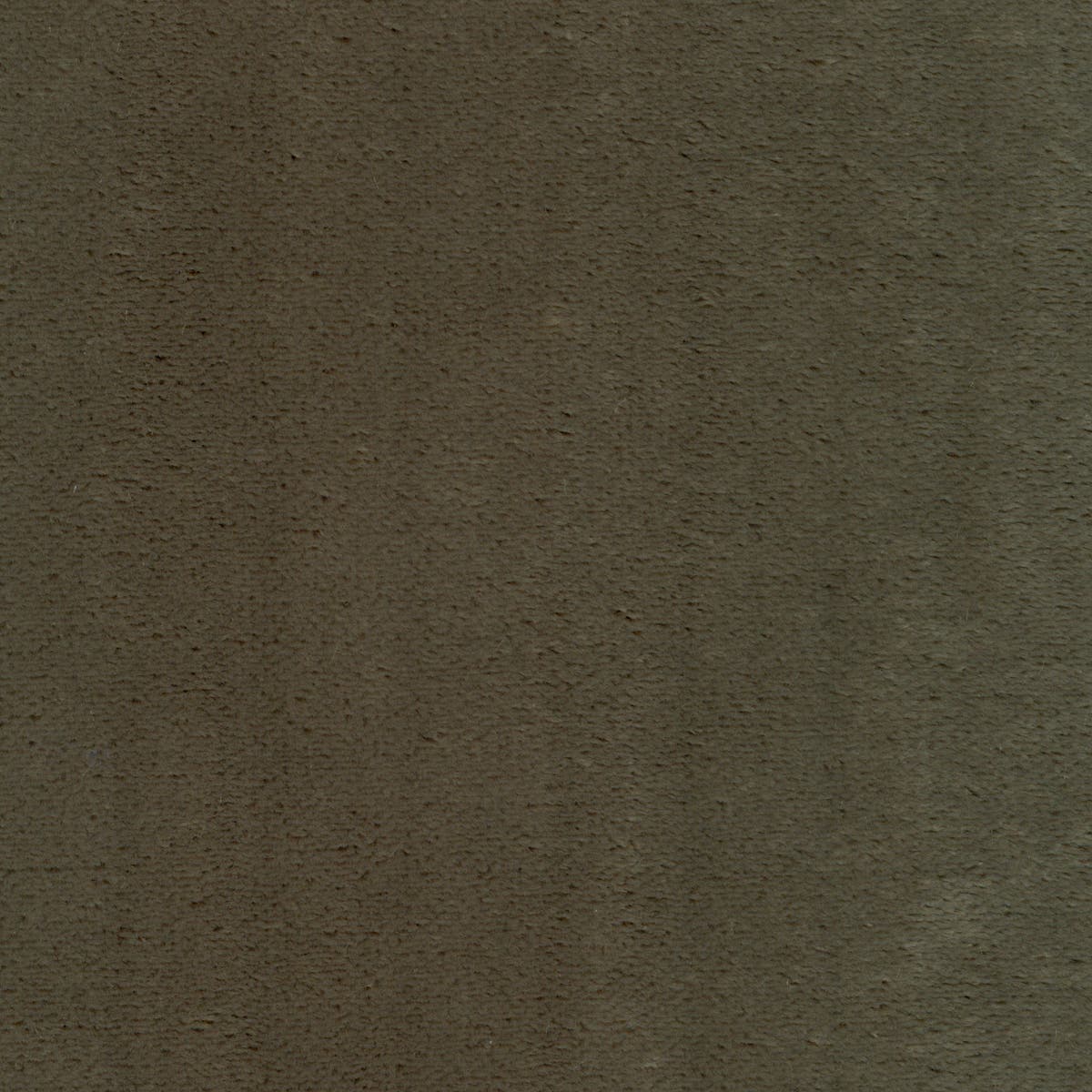 Rubelli Martora fabric - Grigio